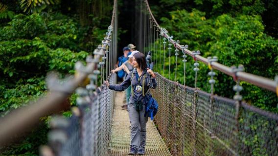 La Fortuna: Hängebrücken-Führung im Mistico Park