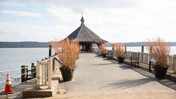 Washington DC: gita di un giorno al Monte Vernon con crociera sul fiume