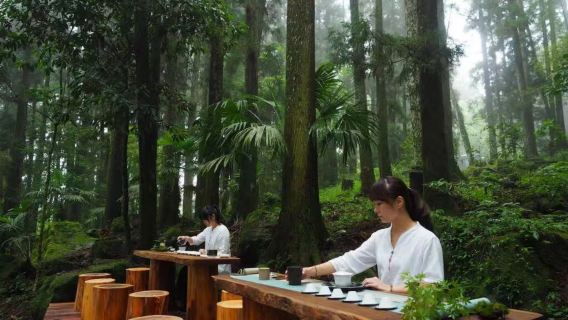 คำสัญญาระหว่างป่ากับแสงอาทิตย์ยามเช้า ~ ทัวร์วันเดียว/ทัวร์หลายวัน อุทยานแห่งชาติอาลีซาน + ถนนโบราณเฟินฉีหู