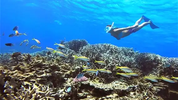 日本沖繩青之洞窟體驗潛水浮潛0.5小時【浮潛活動/搭乘專用船/那霸或北谷定點接駁】
