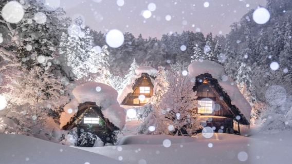 Сиракава-го автобус маршрут A с подсветкой|туда и обратно/в обе стороны из автобусного центра Такаяма Ноги