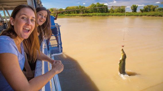 Crucero por el río Adelaide para ver cocodrilos + excursión de medio día de exploración natural con salida desde Darwin