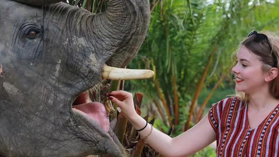 tour di un giorno al campo degli elefanti di Phuket in Thailandia, tour di un giorno al campo di conservazione degli elefanti di Nai Dee
