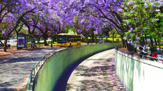 Portugal Lisbon - Lawatan Sehari Seni Budaya & Makanan dengan Pemandu Berbahasa Cina