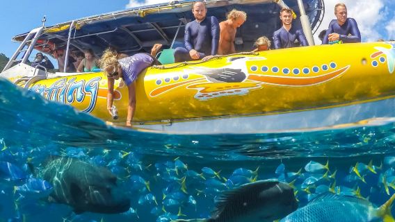 Rafting en mer aux Whitsundays : plongée avec tuba, randonnée et plage de Whitehaven