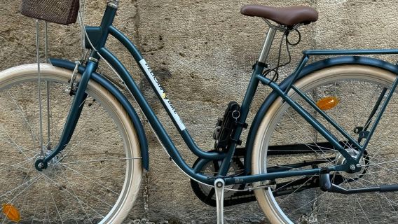 Valencia: Alquiler de bicicletas urbanas