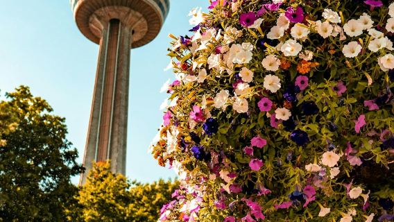 Niagara Falls: Guided Tour with Boat Cruise, Cave of the Winds & Skylon Tower