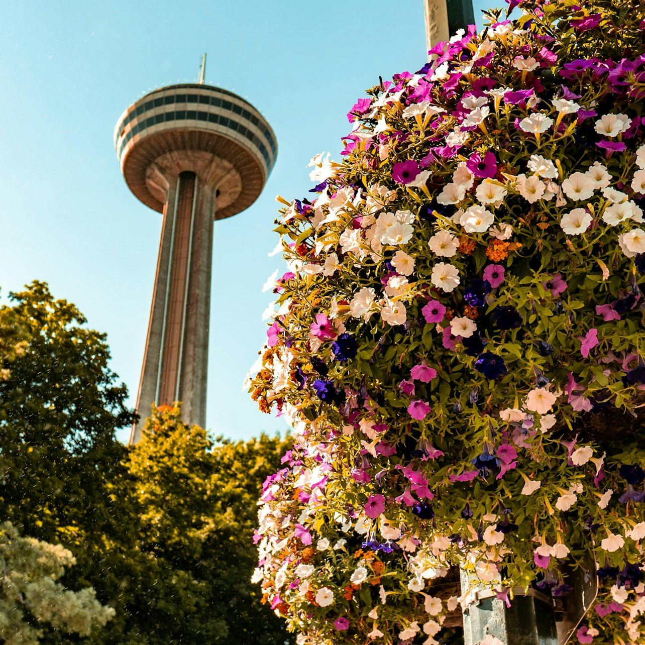Niagara Falls: Guided Tour with Boat Cruise, Cave of the Winds & Skylon Tower
