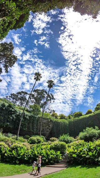 Adelaide Blue Lake & Umpherston Sinkhole / Balumbul Day Tour [Premium Small Group * Daily Departures]