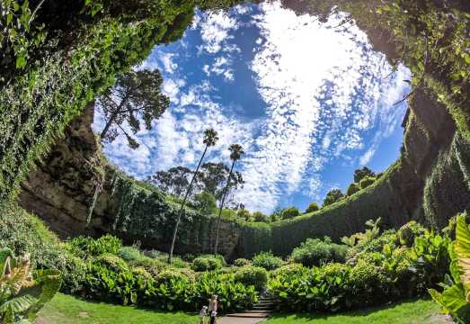 Adelaide Blue Lake & Umpherston Sinkhole / Balumbul Day Tour [Premium Small Group * Daily Departures] AUD 345.15