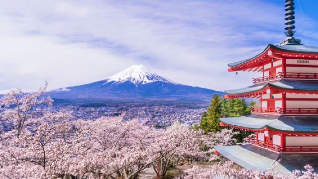 ทัวร์วันเดียว/ทัวร์หลายวัน ญี่ปุ่น โตเกียว ภูเขาไฟฟูจิ ทะเลสาบคาวากูจิ & ยามานากาโกะ & ลอว์สัน/ฮิคคาวะ|เช็คอินแบบพาโนรามากับคนดังทางอินเทอร์เน็ต