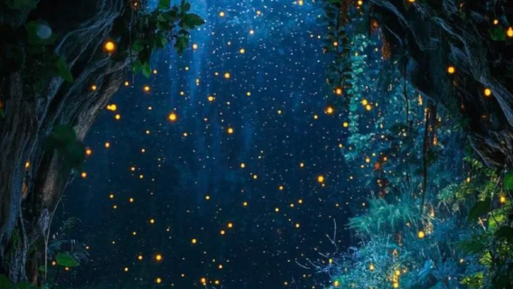 Auckland, New Zealand Departure: Hobbiton Movie Set + Waitomo Glowworm Caves Day Tour