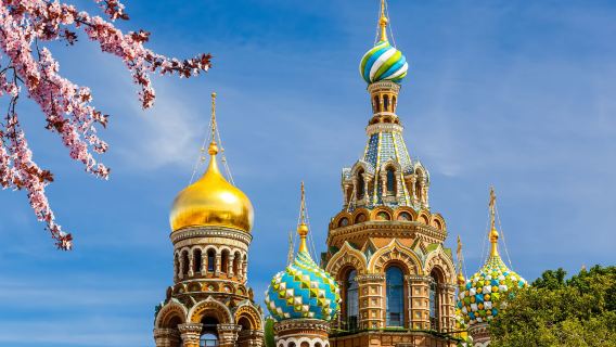 Catherine Park + Kazan Cathedral in Saint Petersburg, Russia|Private car pure play 1-day tour