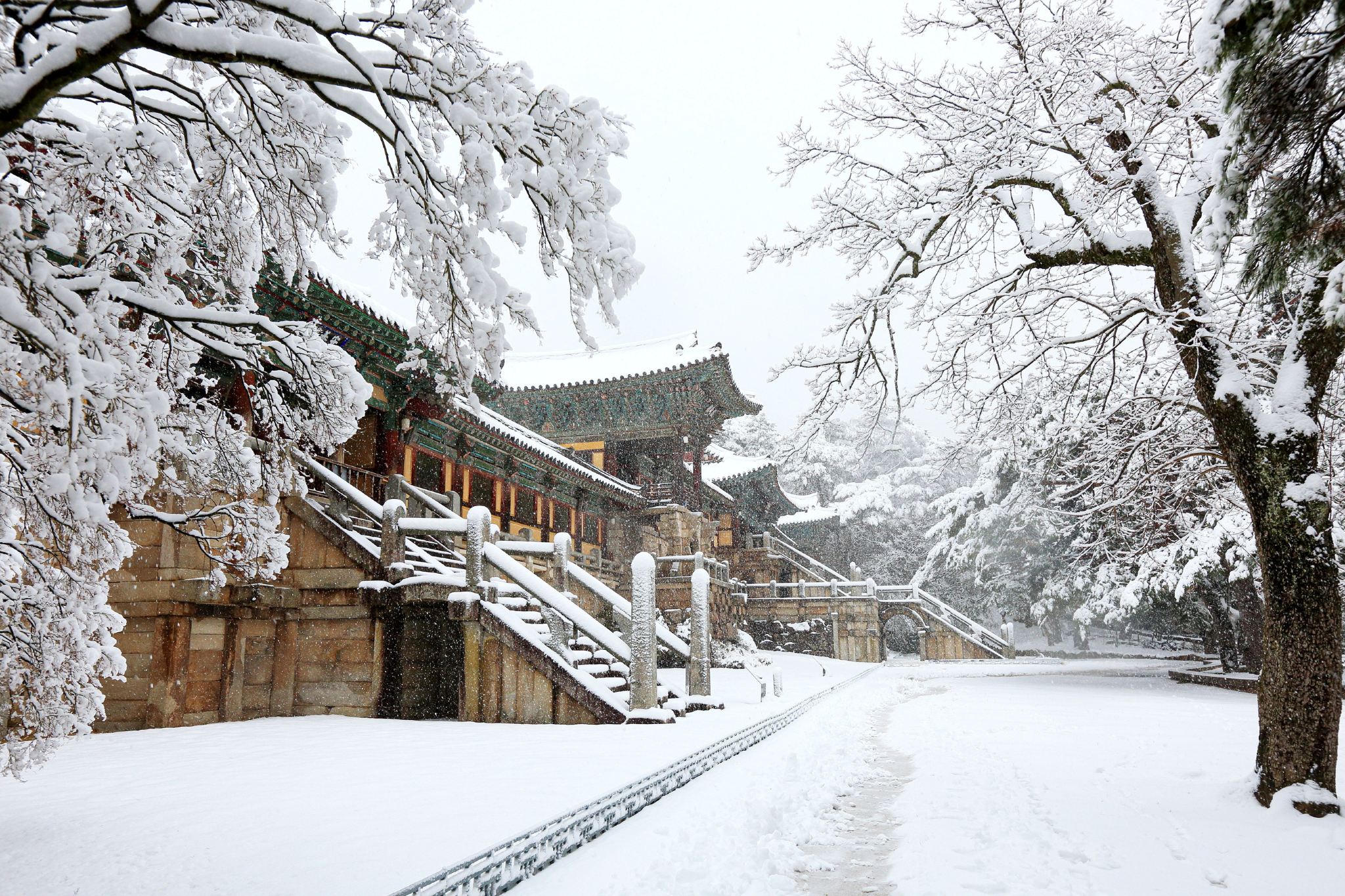 Tour de medio día por lo mejor de Gyeongju: Templo Bulguska + Hwanglidan-gil + Museo Nacional de Gyeongju (Busan)