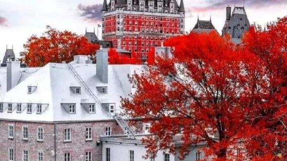 加拿大+魁北克聖母聖殿主教座堂一日遊/-行程可調-可定制