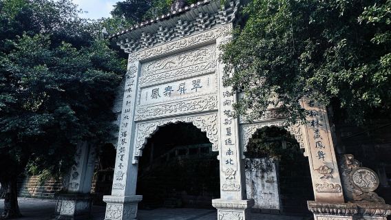 Tour di un giorno alle incisioni rupestri di Xianglongshan, alle sculture rupestri del tempio Donglin e al parco Daqian a Neijiang, Sichuan con servizio in inglese