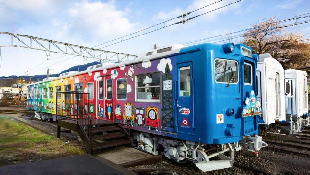Fujikyu Railway Experience Day Tour
