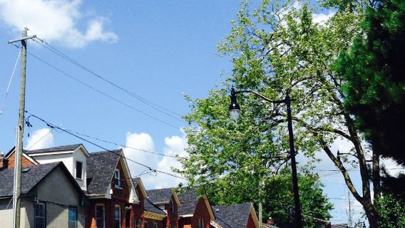 加拿大多倫多市區深度一日遊/行程可調-可定制