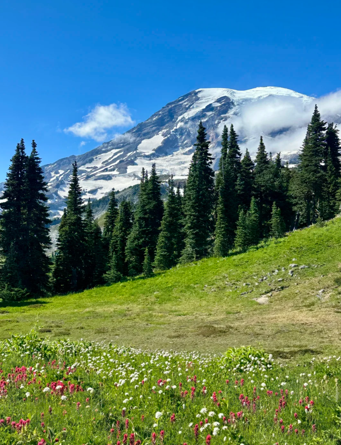 美國西雅圖|雷尼爾山國家公園中文專車一日遊 · 靈活行程
