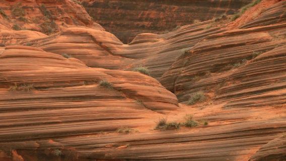 Shaanxi Jingbian Wave Valley + Danxia Landform One-Day Group Tour (Chinese): Exploring the Geological Wonders of the Loess Plateau