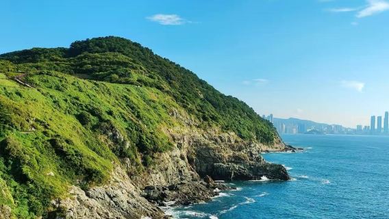 東京-伊豆：戀人岬ホーム一日遊【中文司機/到府接駁】