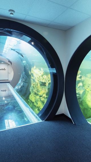 ウィーン海洋ハウス+ペスト記念柱+ジグムント・フロイト博物館【行程調整可能】