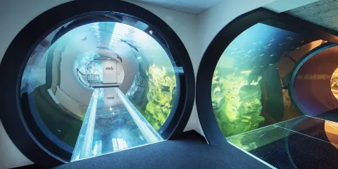 維也納海洋之家+黑死病紀念柱+弗洛伊德博物館【行程可調】