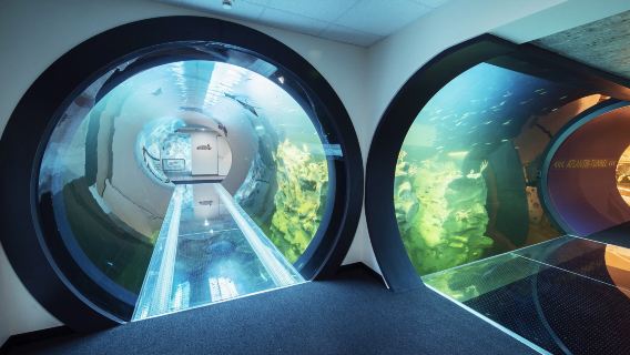 Wien Meeresheim + Wiener Pestsäule + Sigmund Freud Museum [flexible Reiseroute]