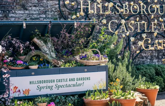 希爾斯伯勒城堡 - 僅限花園入場青年