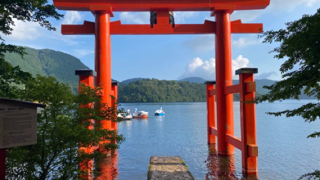 Lawatan sehari sewaan peribadi di Hakone & sekitar Tokyo, Jepun (perjalanan boleh disesuaikan/pemandu berbahasa Cina menyediakan perkhidmatan ambil dan hantar)