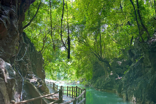 Nanning, Guangxi: Air Terjun Detian + Teluk Dongnayu || Perjalanan Dapat Disesuaikan | Satu Pesanan 