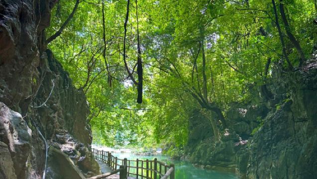 Nanning, Guangxi: Detian Transnational Waterfall Scenic Spot + Dongna Bay || Customizable itinerary | Private group per booking | Private charter
