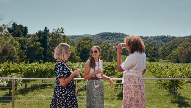 From Melbourne: Mornington Peninsula Hop-On-Hop-Off Bus Ticket