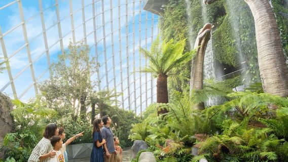 Gardens by the bay - Flower dome/Cloud forest Jurassic world/Floral fantasy/Supertree/Observatory - Multiple activities/Multiple packages optional