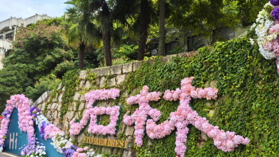 Visit Yunnan to see the "blooming stones" - 1-day tour to Shilin and Dianchi lake in Kunming