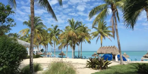 美國邁阿密來回-基韋斯特-海明威故居-12H-中文私享行