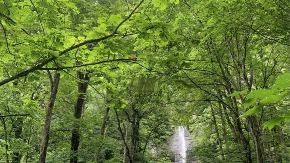 日本青森-奧入瀨溪流-十和田湖-十和田神社-中文私享行