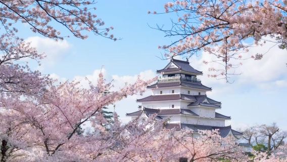 Depart from Sendai: Fukushima private charter customize 1-day tour [door-to-door pick-up by driver/admission ticket not included]
