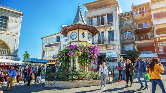Istanbul Princes' Islands Day Tour with Hotel Pickup and Lunch