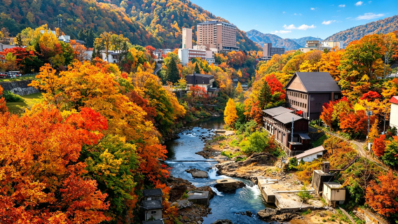 Excursión clásica de un día por Sapporo, Hokkaido: Gran Buda de la Cabeza + Aguas termales de Jozankei + Santuario + Parque Shiroi Koibito