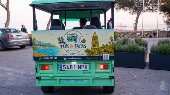Málaga: 2 hour Tuk Tuk Tour with Espetos on the Beach