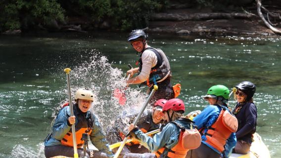 Tongariro River: Grade 3 Whitewater Rafting