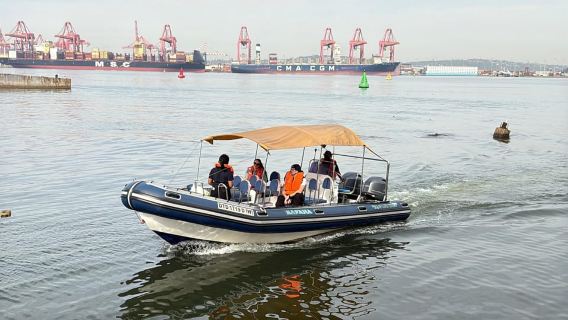 ダーバン：クジラ＆イルカウォッチングボートツアー