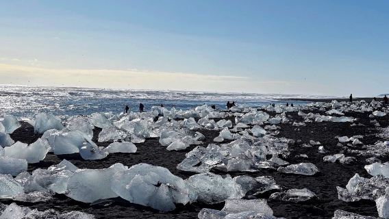 Iceland Reykjavik Muzium Seni/Aurora - Pantai Arca - Pelabuhan Lama sewaan peribadi Bahasa Cina - Lawatan Santai