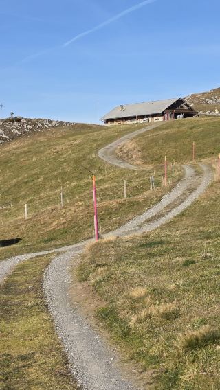 From Lucerne: Lake Hike, Scenic Cable Car & Private Tour Fondue
