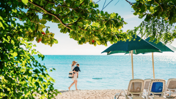 [Cairns join-in tour 1-day tour] Green Island snorkeling + catamaran round-trip cruise + glass boat coral viewing