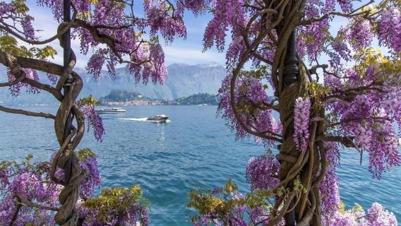 De Milão: Passeio de um dia para o Lago de Como e Bellagio com Cruzeiro