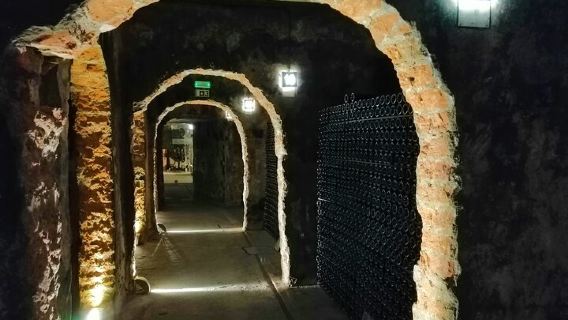 Bairrada Winery Route, half day from Coimbra 