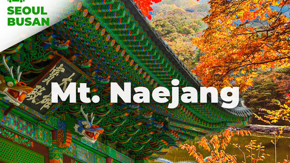 JeonjuTours