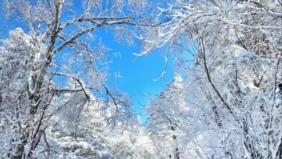 老李克湖或雪嶺一日遊【 2-15人小團】
